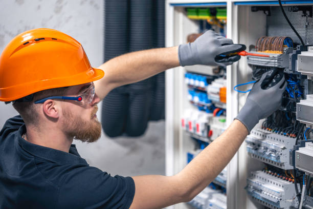 Best Ceiling Fan Installation Electrician  in Agua Dulce, TX