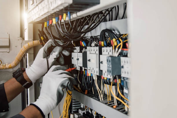 Best Affordable Electrician  in Agua Dulce, TX